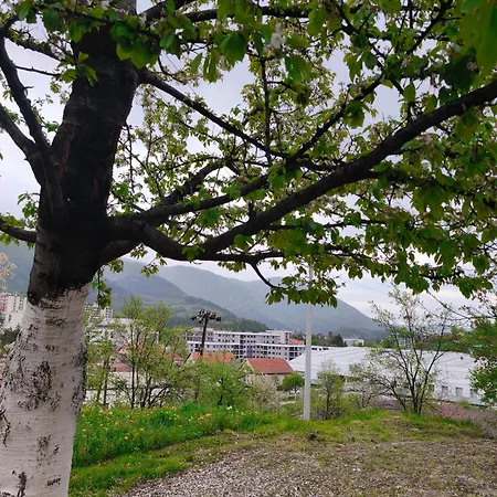 Hideout * Travnik